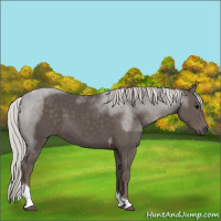Horse Color:Silver Black Tobiano 