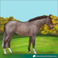Horse Color:Chocolate Brown Roan 