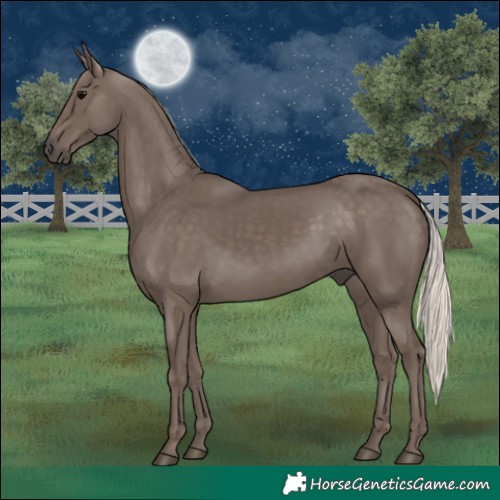 Horse Color:Silver Black 