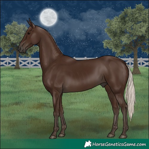 Horse Color:Gray Silver Black 