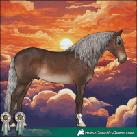 Horse Color:Silver Brown 