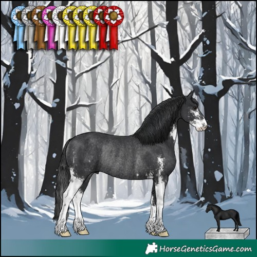 Horse Color:Black Sabino Rabicano 