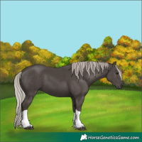 Horse Color:Silver Black Tobiano