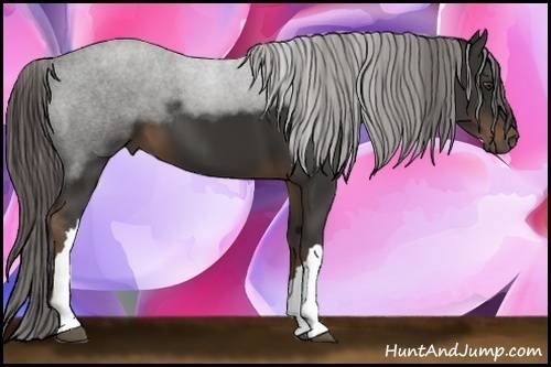 Horse Color:Liver Chestnut Frame 