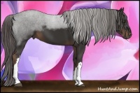 Horse Color:Liver Chestnut Frame 