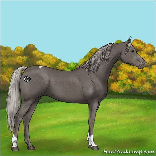 Horse Color:Silver Black Tobiano