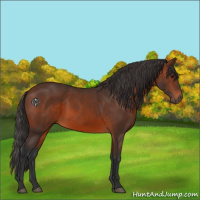 Horse Color:Brown 