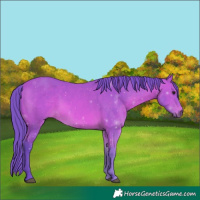 Horse Color:Watercolor Bay 