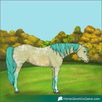 Horse Color:Watercolor Bay Ice 