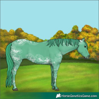 Horse Color:Watercolor Black Ice 