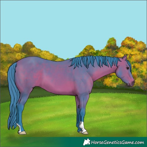 Horse Color:Watercolor Bay 