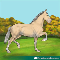 Horse Color:Silver Classic Cream Champagne Dun 