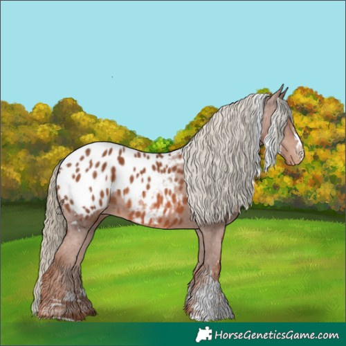 Horse Color:White Spotted Chestnut Mushroom Sabino Splash Blanket Rabicano