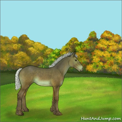 Horse Color:Silver Bay Sabino 