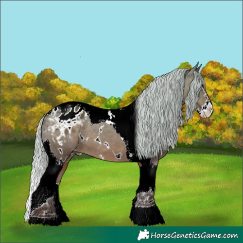 Horse Color:White Spotted Silver Bay Splash Tobiano Appaloosa 