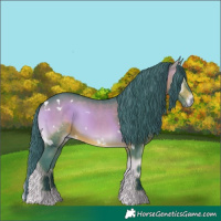 Horse Color:Watercolor White Spotted Bay Onyx