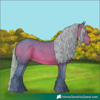 Horse Color:Watercolor Silver Bay