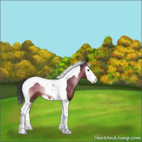 Horse Color:Bay Onyx Splash Tobiano 