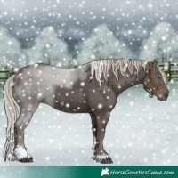 Horse Color:Silver Black Tobiano 