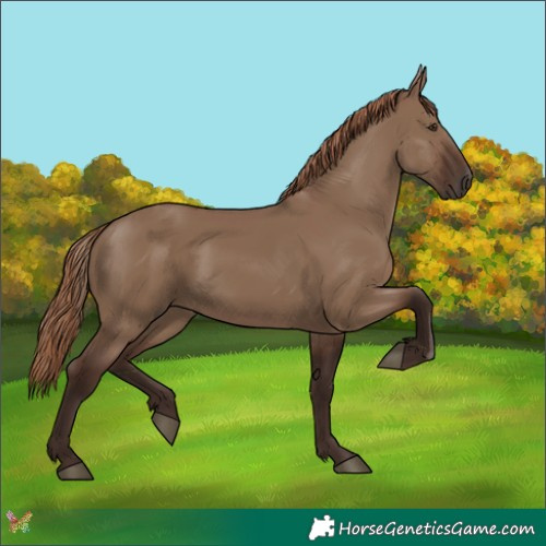 Horse Color:Liver Red Dun 