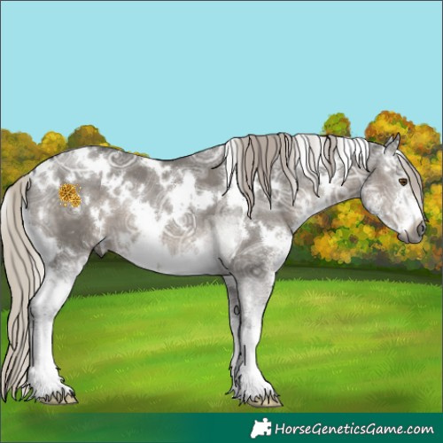 Horse Color:Gray White Spotted Silver Smoky Grullo Ice Sabino 