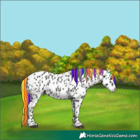Horse Color:Painted Midnight Chestnut Ice Leopard 