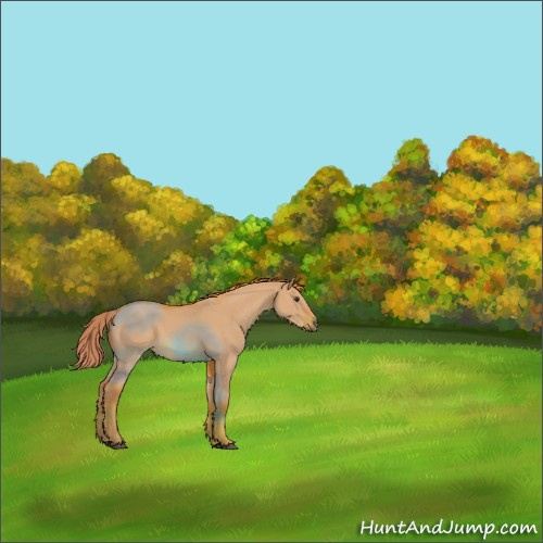 Horse Color:Watercolor Red Dun 