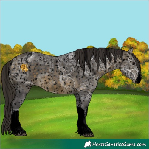 Horse Color:Void White Spotted Buckskin Ice Appaloosa Rabicano 