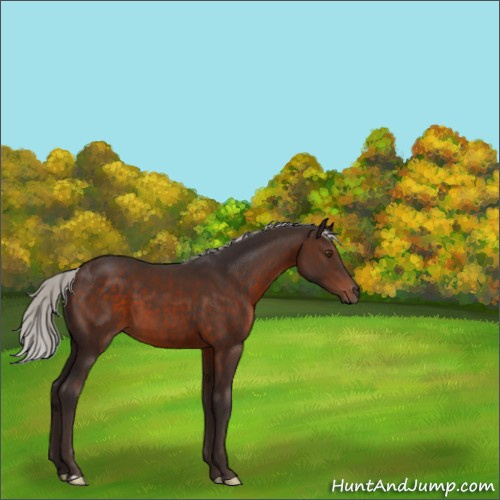 Horse Color:Silver Brown 