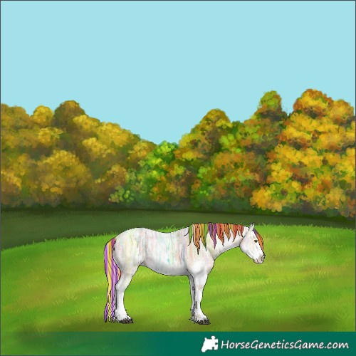 Horse Color:Painted Red Dun Ice Sabino Splash 