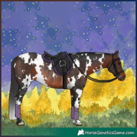 Horse Color:White Spotted Brown Rabicano 