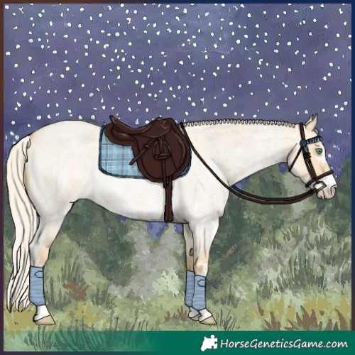 Horse Color:Silver Amber Cream Champagne Roan Dun Sabino 