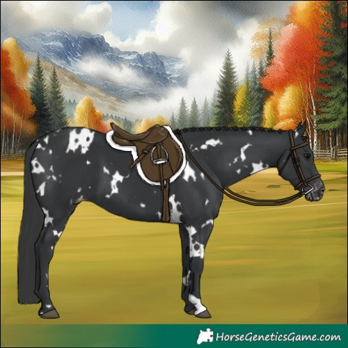 Horse Color:White Spotted Black Varnish 