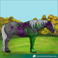 Horse Color:ERROR: UNKNOWN ANOMALY