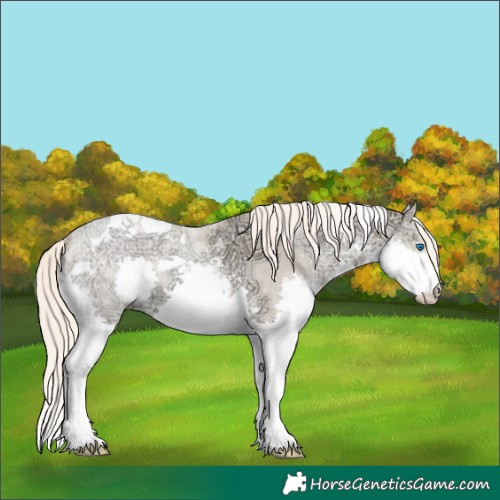 Horse Color:Chocolate Palomino Ice Roan Pearl Dun Splash Tobiano 