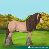 Horse Color:Amber Champagne Rabicano 