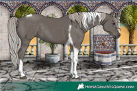 Horse Color:Silver Black Tobiano 