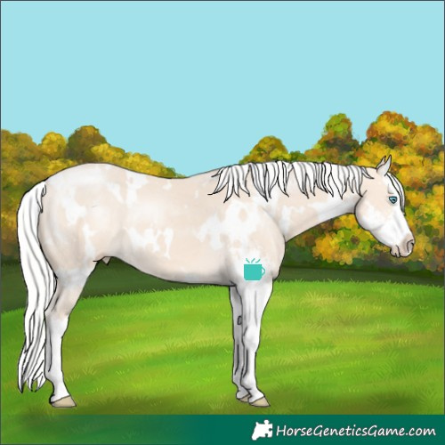 Horse Color:White Spotted Silver Perlino Sabino Splash 