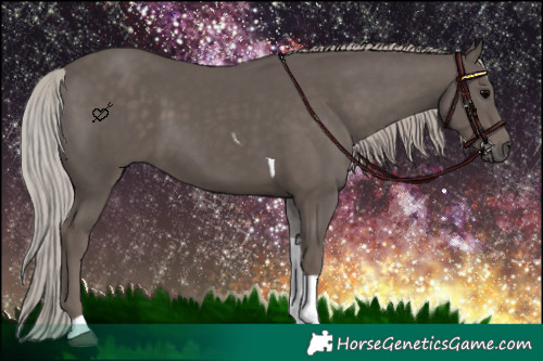 Horse Color:Silver Black Tobiano 