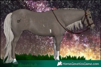 Horse Color:Silver Black Tobiano 
