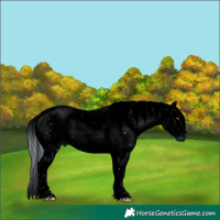 Horse Color:ERROR: UNKNOWN ANOMALY