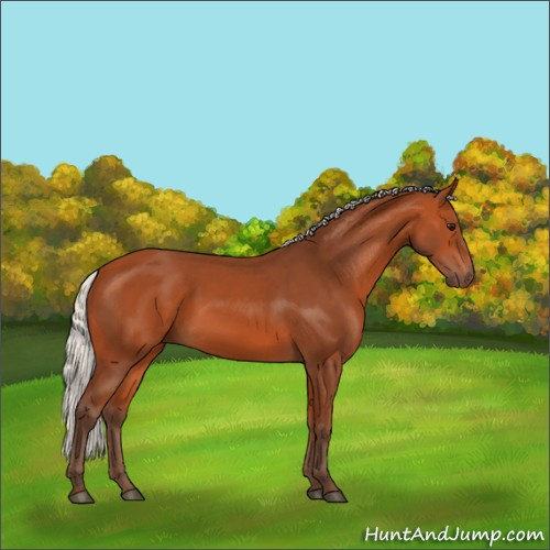 Horse Color:Silver Bay