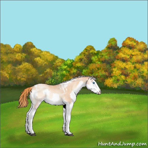 Horse Color:Red Onyx Pearl Splash Tobiano 