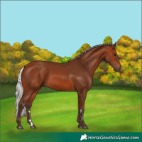 Horse Color:Silver Brown 