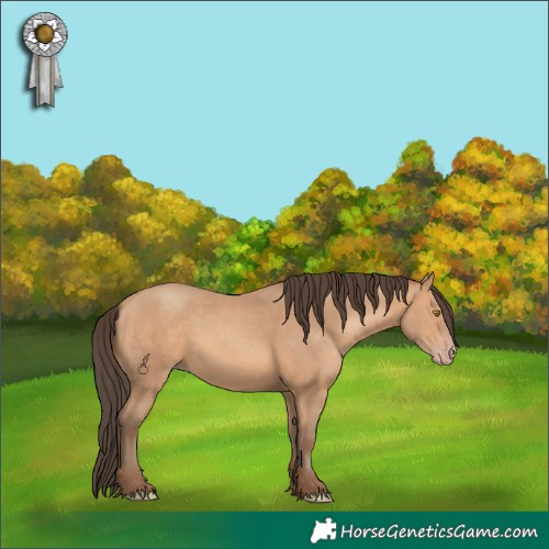 Horse Color:Amber Champagne 