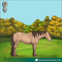 Horse Color:Amber Champagne 