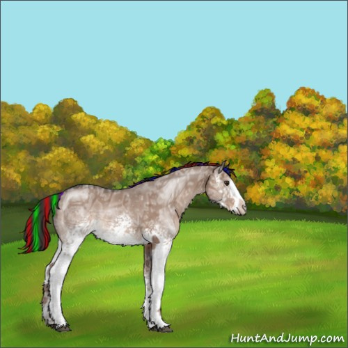 Horse Color:Painted White Spotted Liver Red Dun Ice Sabino