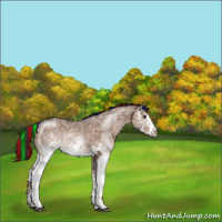 Horse Color:Painted White Spotted Liver Red Dun Ice Sabino