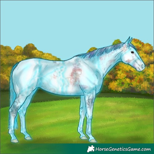 Horse Color:Thunderstruck Plaid  Bay Ice Onyx Sabino Splash Frame Appaloosa 