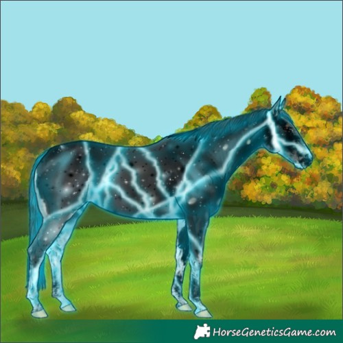 Horse Color:Void Thunderstruck Brown Ice Onyx Tobiano Appaloosa